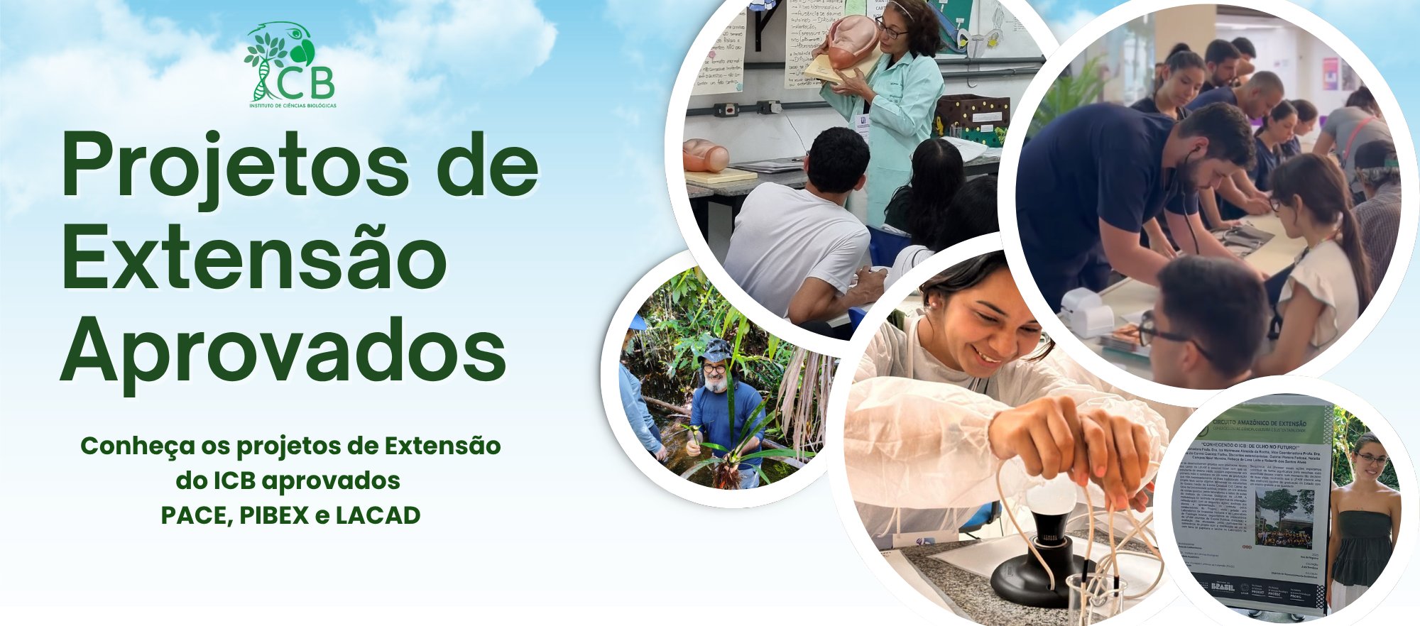 Foto da galeria de imagens: sem descrição informada.